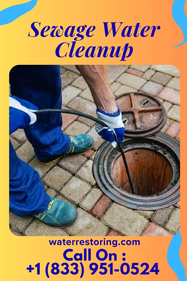 Sewage Water Cleanup in Roslyn, PA